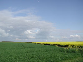 Paysage de campagne