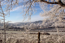 Paysage de champs en hiver